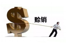 桦川融资清欠服务